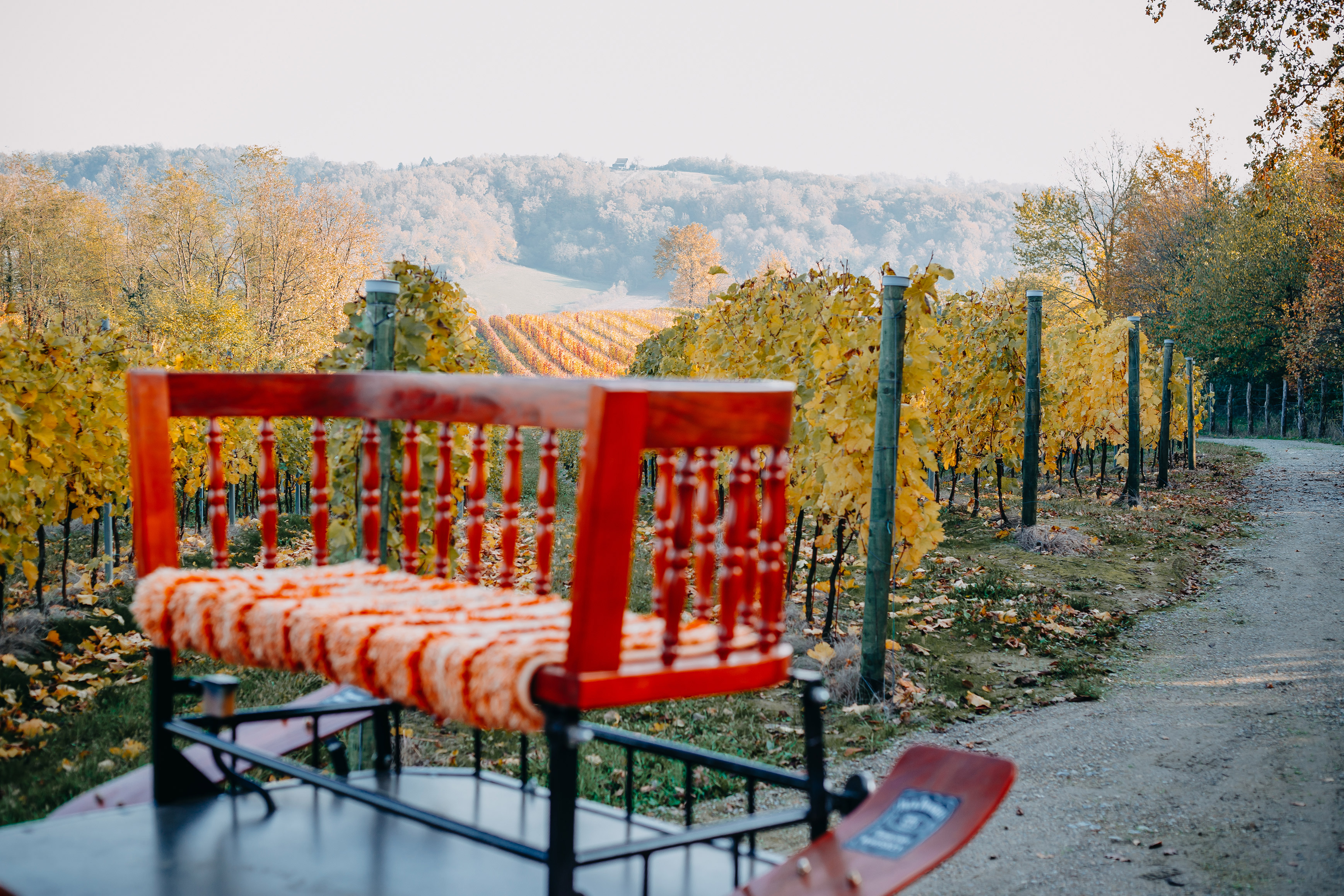 Visit Popovača | Popovača