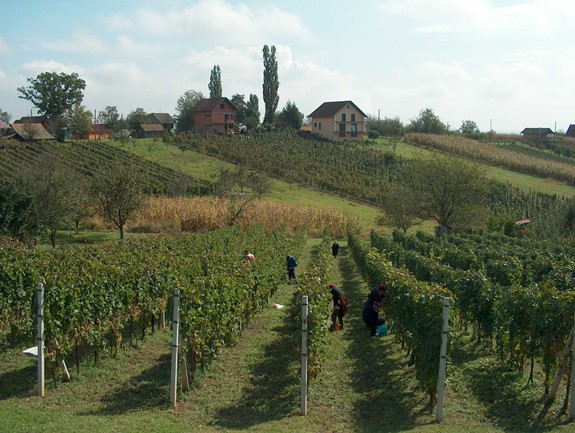 Visit Popovača | Popovača